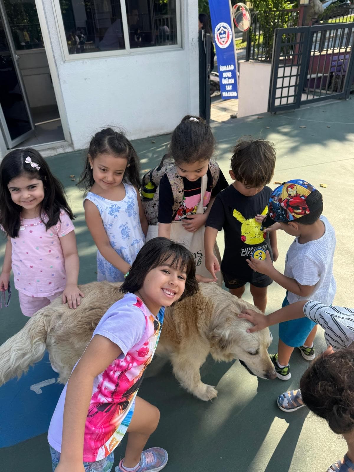 İngilizce Yaz Okulu