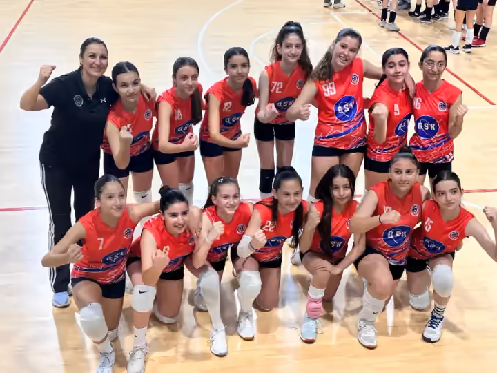 Voleybol